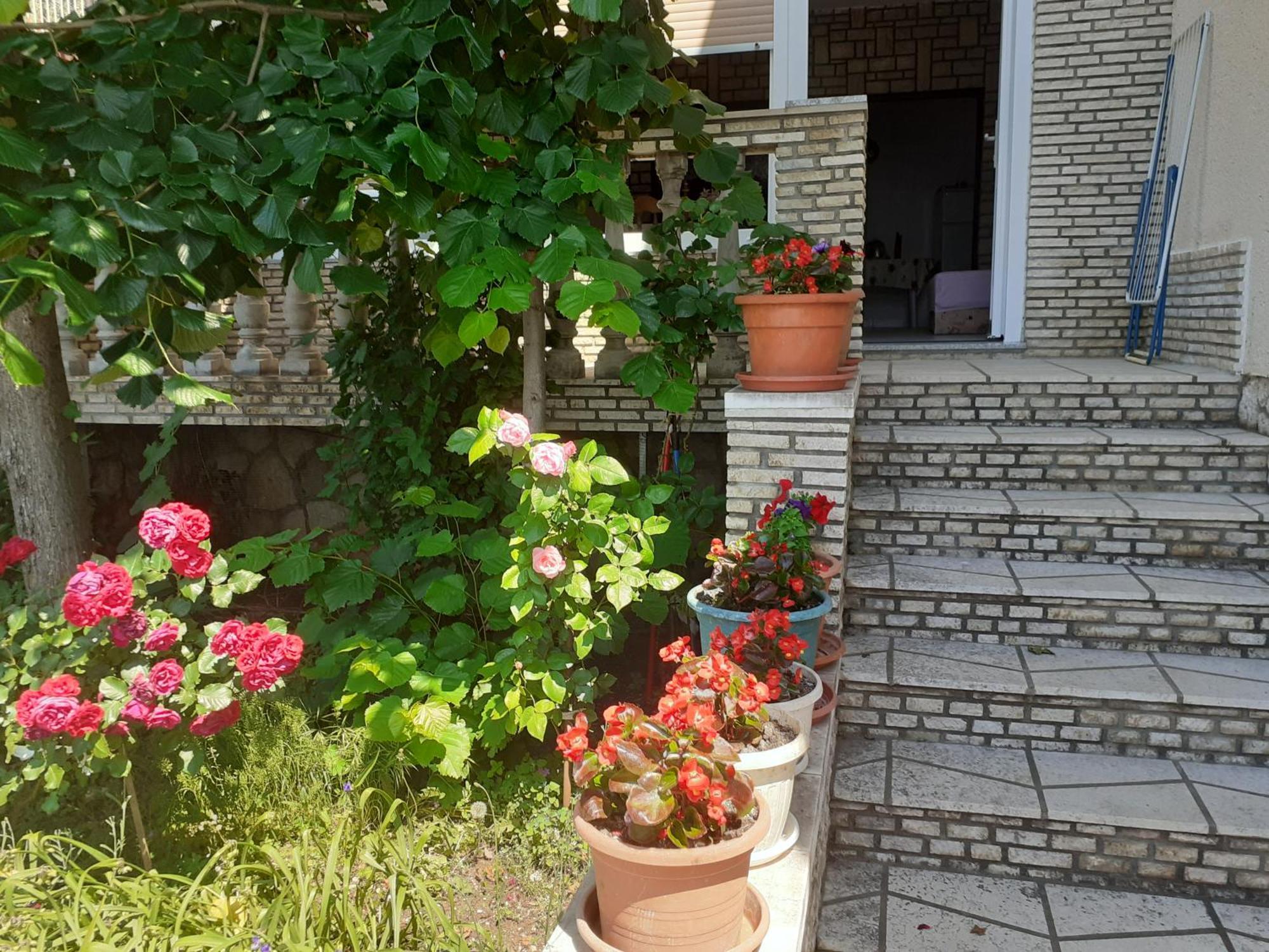 Dada Apartment Senj  Cameră foto